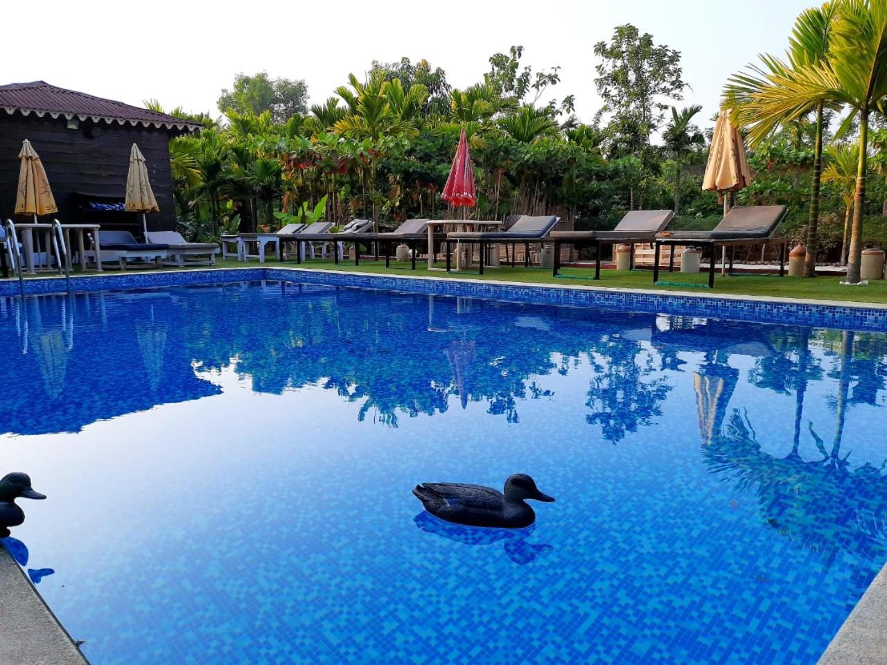 Go Green Spice & Eco Resort Cavelossim Kültér fotó
