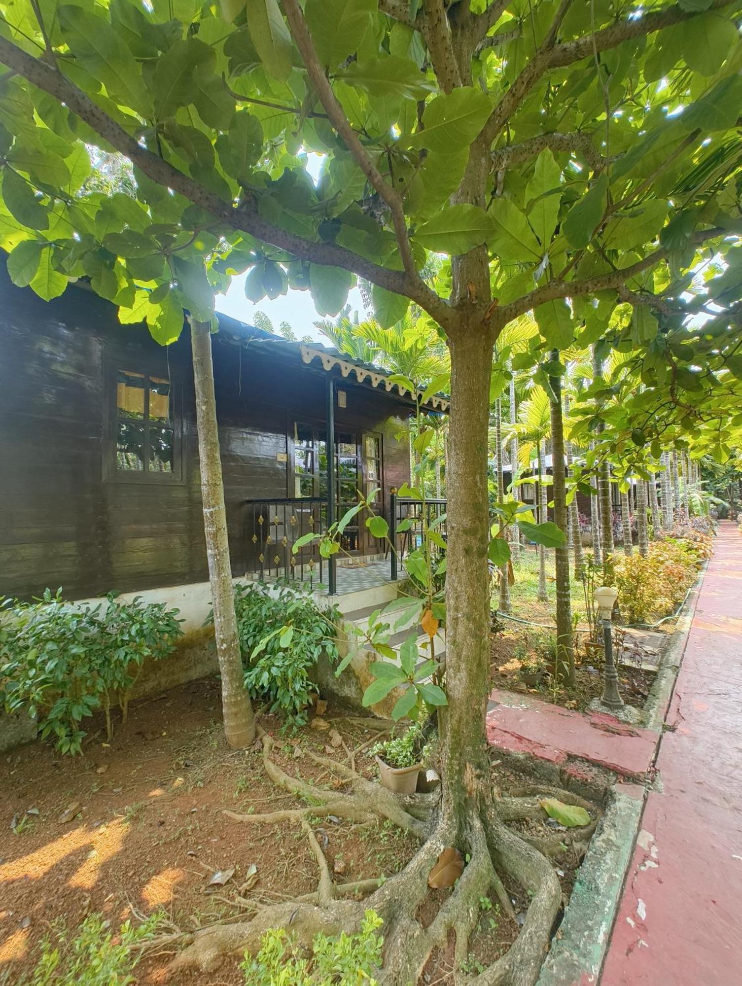 Go Green Spice & Eco Resort Cavelossim Kültér fotó