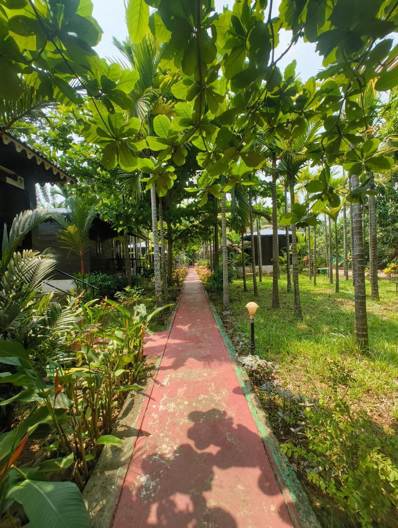 Go Green Spice & Eco Resort Cavelossim Kültér fotó